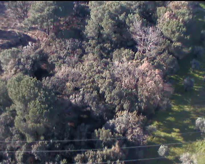 clearance violation video