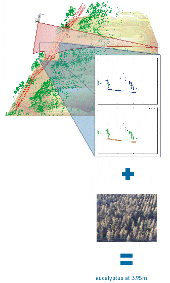 Introduction to track clearance